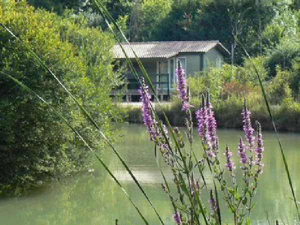Camping Les Chalets de la Héronnière Poitou-Charentes - Chef-Boutonne visuel 2/10