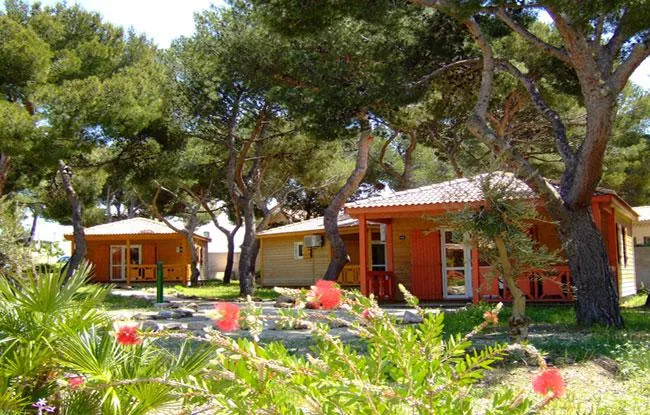 Camping Les Chalets de la Mer Provence-Alpes-Côte d'Azur - Martigues visuel 2/8