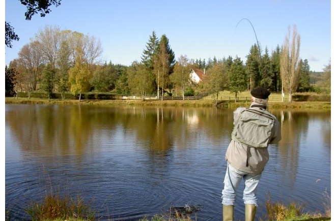 Les Chalets du Haut-Forez Rhône-Alpes - Usson-en-Forez visuel 9/9