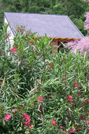 Les Chalets du Tarn Midi-Pyrénées - Réquista visuel 3/10