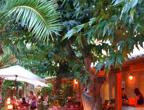 Les Champs Blancs Languedoc-Roussillon - Agde visuel 9/10