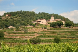 Les Chataigniers Rhône-Alpes - Ribes visuel 11/11