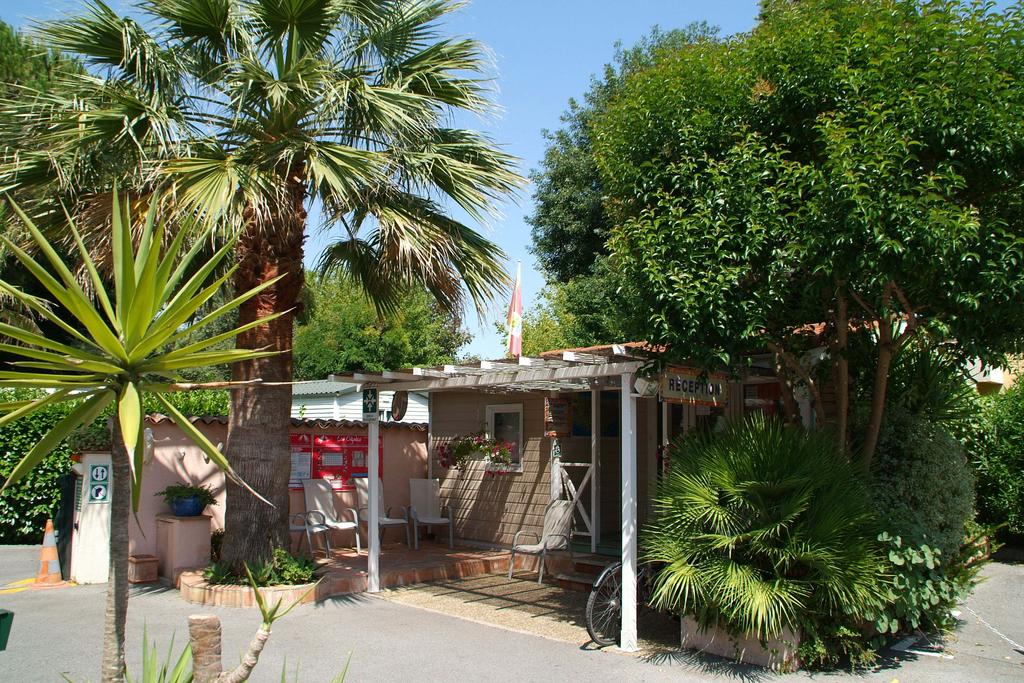 Les Cigales Provence-Alpes-Côte d'Azur - Mandelieu-la-Napoule visuel 4/8