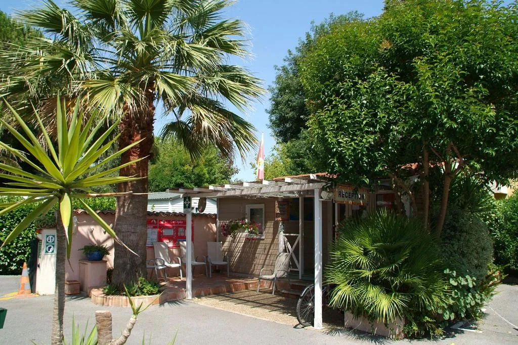 Camping Les Cigales Provence-Alpes-Côte d'Azur - Mandelieu-la-Napoule visuel 5/8
