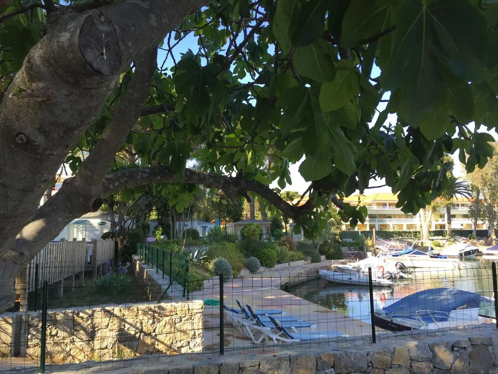 Camping Les Cigales Provence-Alpes-Côte d'Azur - Mandelieu-la-Napoule visuel 7/8