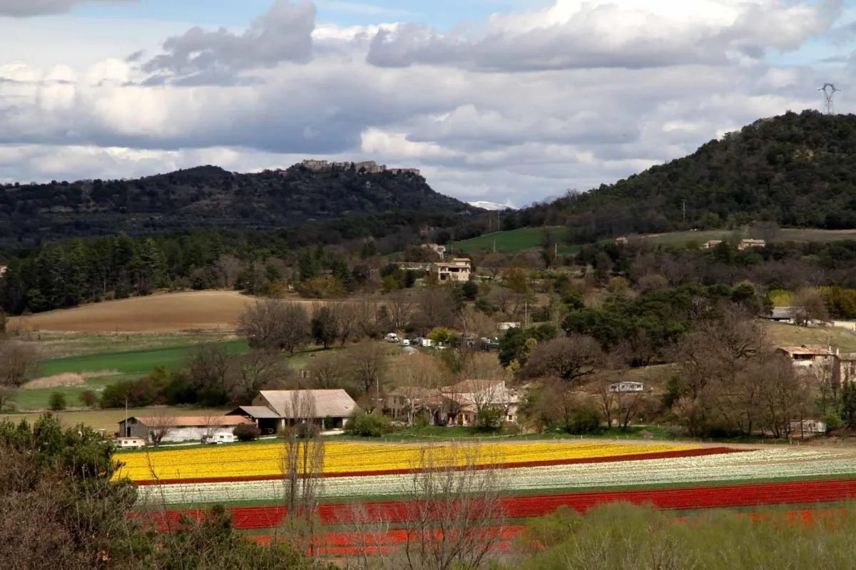 Camping Les Coccinelles Provence-Alpes-Côte d'Azur - Lurs visuel 2/4