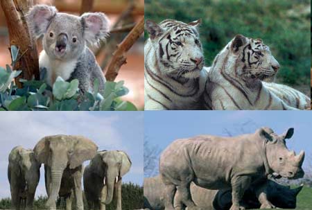 Les Coteaux du Lac Grand Centre - Chemillé-sur-Indrois visuel 2/10