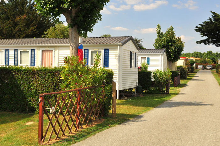 Les Dinosaures Pays de Loire - Talmont-Saint-Hilaire visuel 13/18