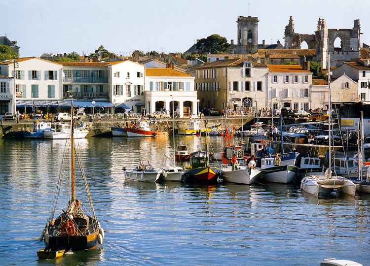 Les Dunes Pays de Loire - Longeville sur Mer visuel 9/12