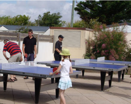 Les Ecureuils Pays de Loire - Saint-Hilaire-de-Riez visuel 3/10 Les Ecureuils Pays de Loire - Saint-Hilaire-de-Riez visuel 3/10