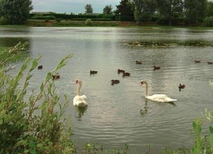 Les Etangs du Parc Haute-Normandie - Garennes-sur-Eure visuel 1/1 Les Etangs du Parc Haute-Normandie - Garennes-sur-Eure visuel 1/1
