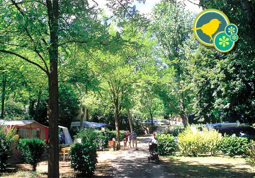 Camping Les Fauvettes Languedoc-Roussillon - Anduze visuel 10/11