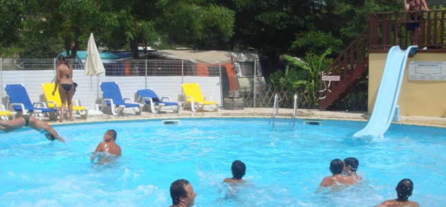 Les Floralies Provence-Alpes-Côte d'Azur - Montauroux visuel 2/5