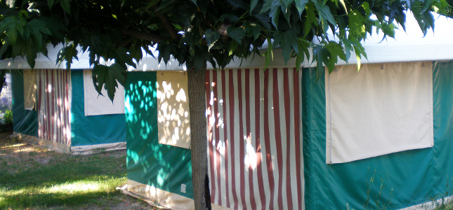 Les Floralies Provence-Alpes-Côte d'Azur - Montauroux visuel 4/5