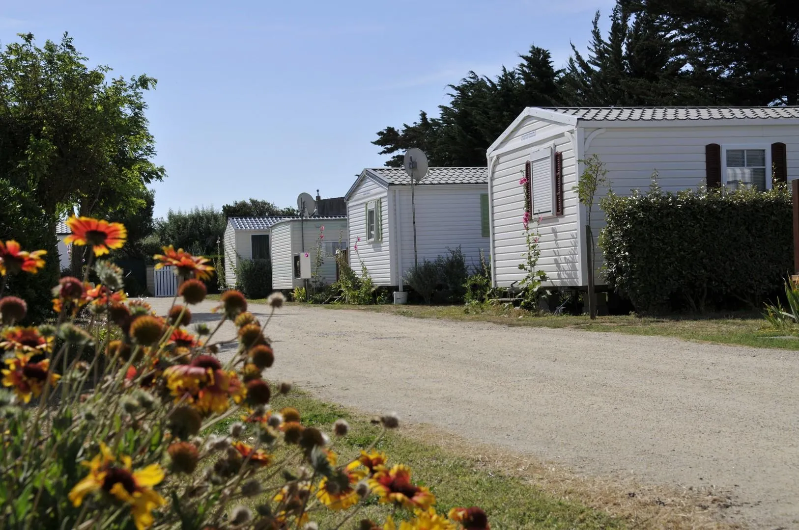 Camping Les Flots Atlantique Poitou-Charentes - Saint-Pierre-d'Oléron visuel 2/4