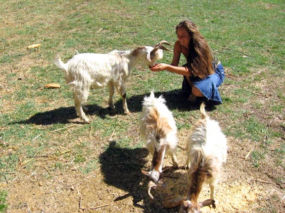 Les Fontaines Languedoc-Roussillon - Canet-en-Roussillon visuel 9/10