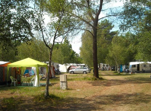 Camping Les Fougeres 3 Etoiles Lacanau Toocamp