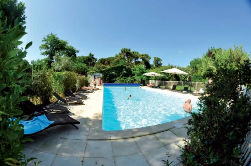 Camping Les Fougères Poitou-Charentes - Rivedoux-Plage visuel 9/11