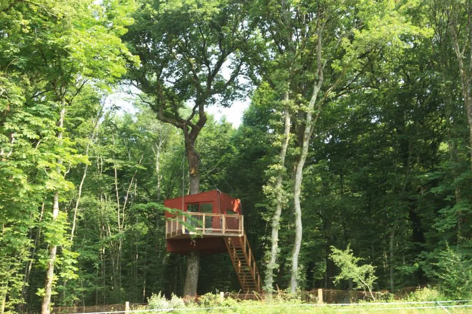 Camping Les Galants Bourgogne - Saint-Vérain visuel 2/6