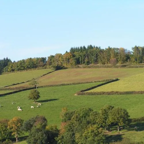 Camping Les Genêts du Morvan Bourgogne - Ouroux-en-Morvan visuel 2/3