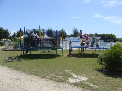 Cap Finistère Bretagne - Penmarc'h visuel 5/11