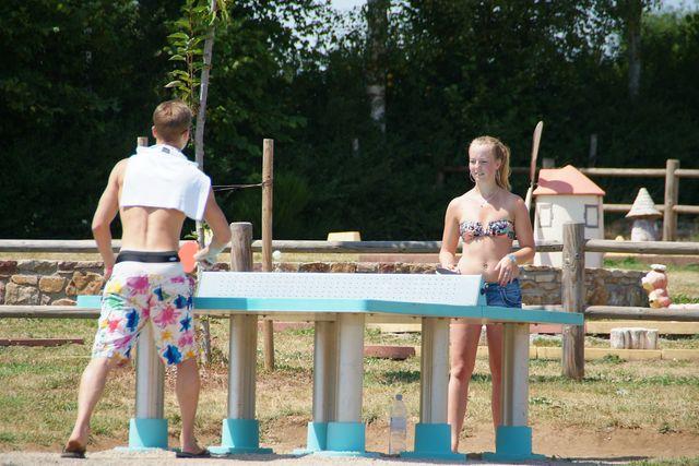 Les Genêts Midi-Pyrénées - Salles-Curan visuel 9/10