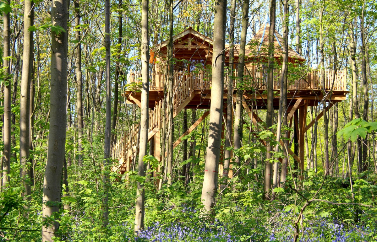 Domaine les Grands Chênes Picardie - Raray visuel 8/15