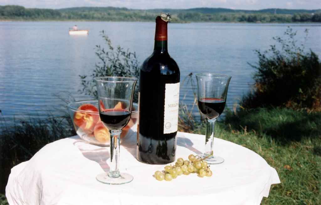 Les Grèbes du Lac Bourgogne - Marcenay visuel 1/1 Les Grèbes du Lac Bourgogne - Marcenay visuel 1/1