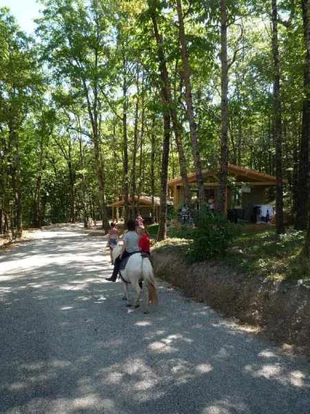 Camping Les Hameaux des Lacs Midi-Pyrénées - Monclar-de-Quercy visuel 8/10