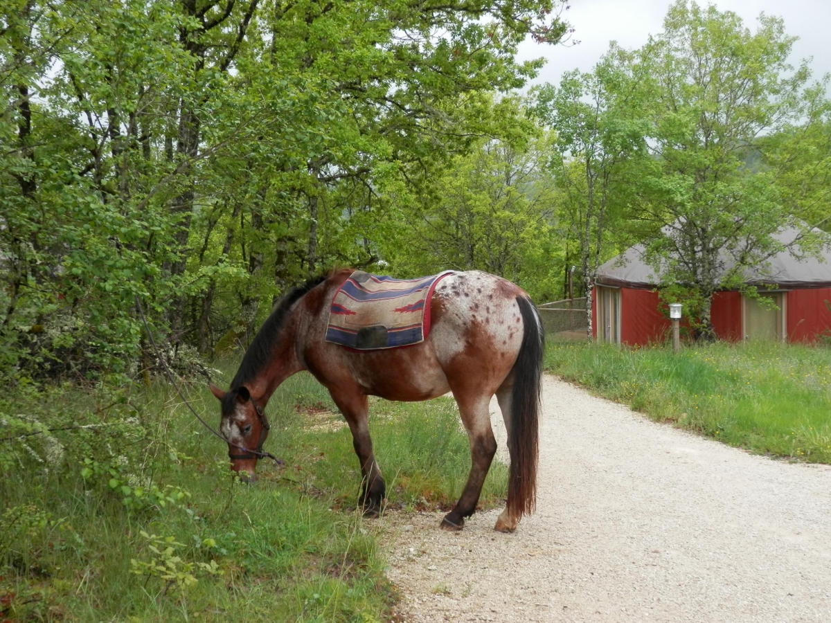Les Hauts d'Albas Midi-Pyrénées - Albas visuel 3/10