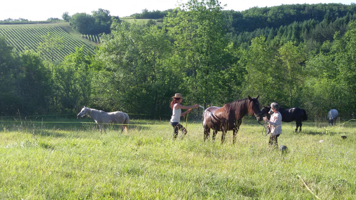 Les Hauts d'Albas Midi-Pyrénées - Albas visuel 6/10