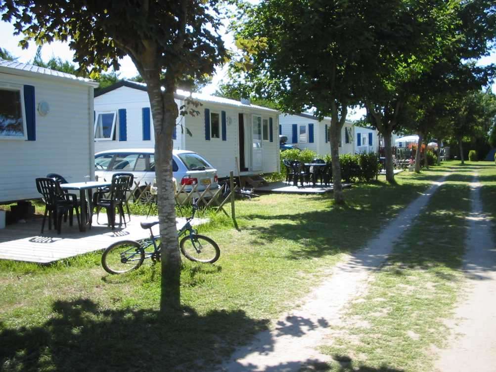 Les Hortensias Bretagne - Loctudy visuel 3/6 Les Hortensias Bretagne - Loctudy visuel 3/6