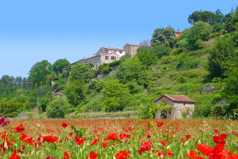 Les Hortensias Rhône-Alpes - La Rosière visuel 10/11 Les Hortensias Rhône-Alpes - La Rosière visuel 10/11