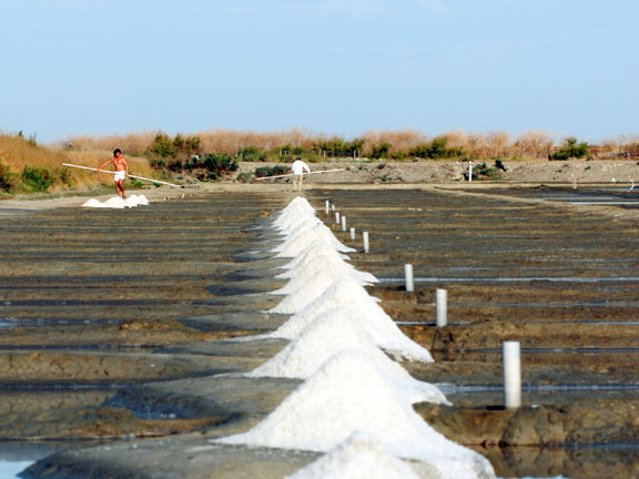 Les Ilates Poitou-Charentes - Loix visuel 13/14 Les Ilates Poitou-Charentes - Loix visuel 13/14