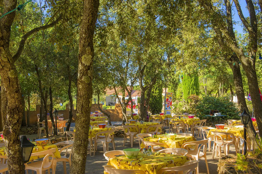 Camping Les Lacs du Verdon Provence-Alpes-Côte d'Azur - Régusse visuel 20/24