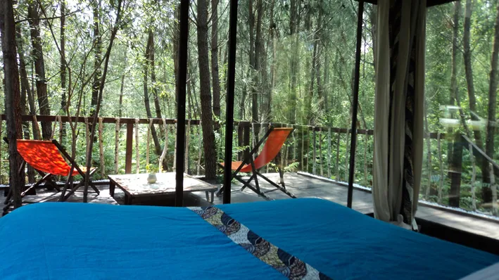 Camping Les Landines Aquitaine - Origne visuel 5/6