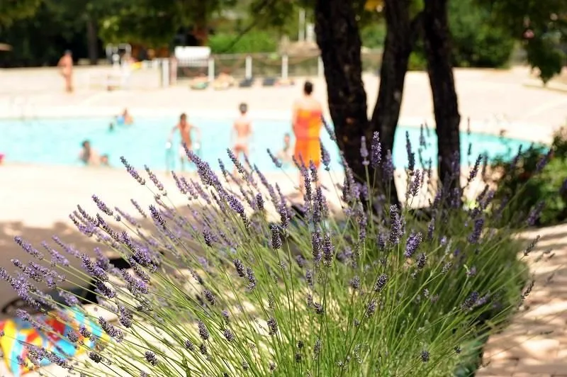 Camping Les LauzonsDomaine Naturiste - Provence-Alpes-Côte d'Azur - Limans visuel 6/7