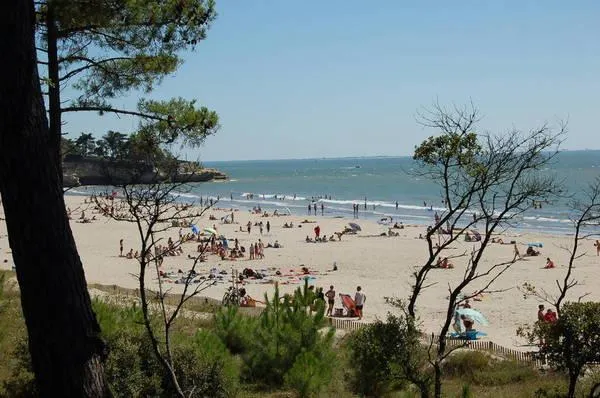 Camping Les Loges Poitou-Charentes - Meschers-sur-Gironde visuel 4/5