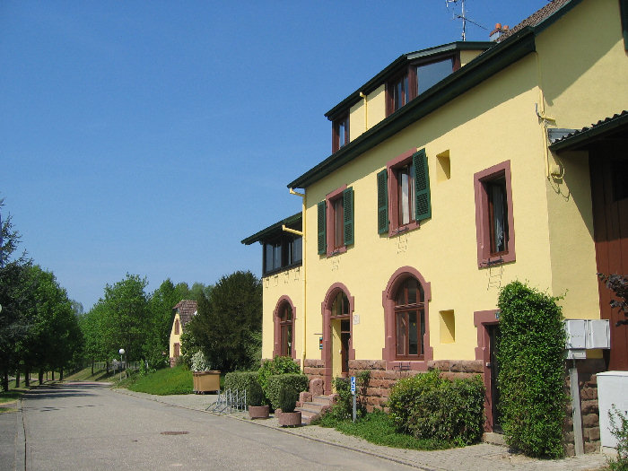 Les Lupins Alsace - Seppois-le-Bas visuel 3/10 Les Lupins Alsace - Seppois-le-Bas visuel 3/10