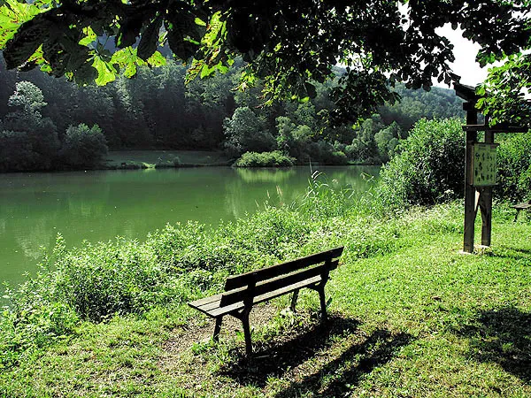 Camping Les Lupins Alsace - Seppois-le-Bas visuel 6/10