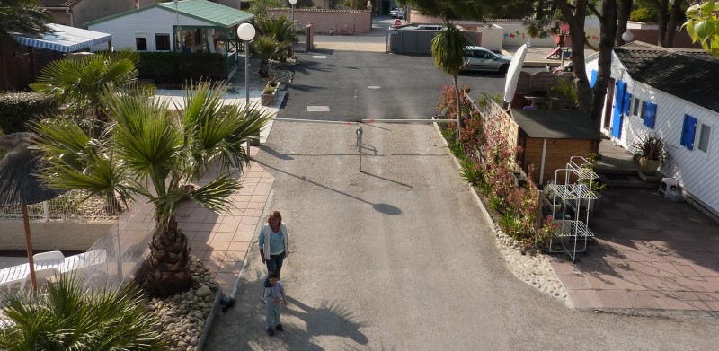 Les Mimosas Languedoc-Roussillon - Agde visuel 2/2