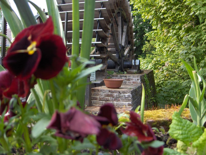 Les Mouettes Haute-Normandie - Veules-les-Roses visuel 6/11