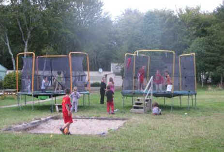 Les Myrtilles Bretagne - Saint-Yvi visuel 5/7