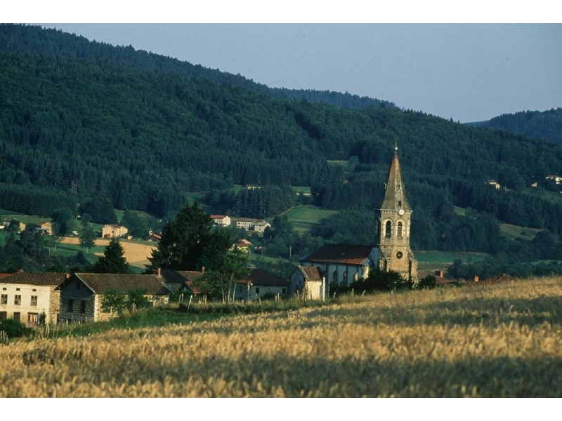 Les Narcisses Auvergne - Saint-Clément-de-Valorgue visuel 2/5 Les Narcisses Auvergne - Saint-Clément-de-Valorgue visuel 2/5