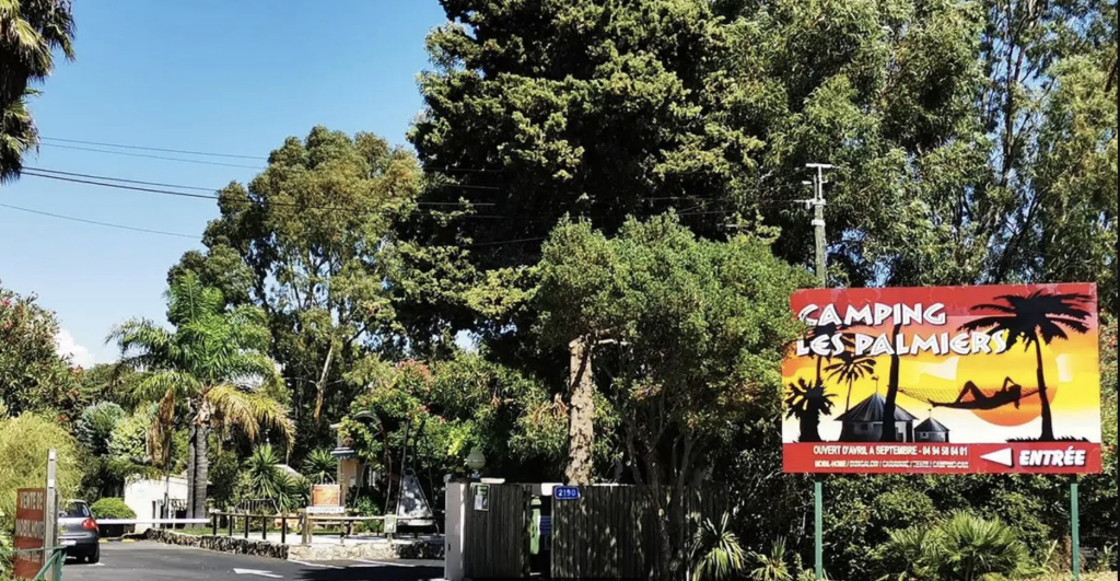 Les Palmiers Provence-Alpes-Côte d'Azur - Carqueiranne visuel 1/1
