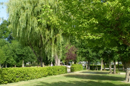 Les Peupliers Aquitaine - Vendays-Montalivet visuel 2/10