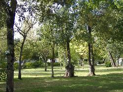 Les Peupliers Aquitaine - Vendays-Montalivet visuel 9/10