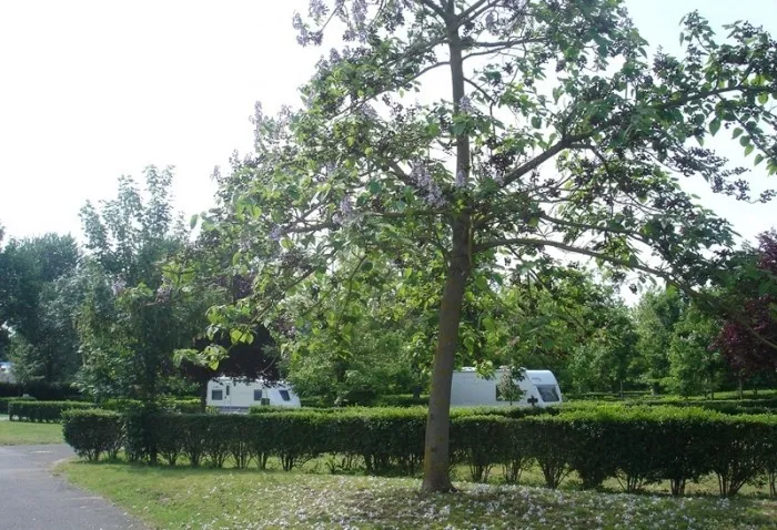 Camping Les Peupliers Grand Centre - Montlouis-sur-Loire visuel 9/10