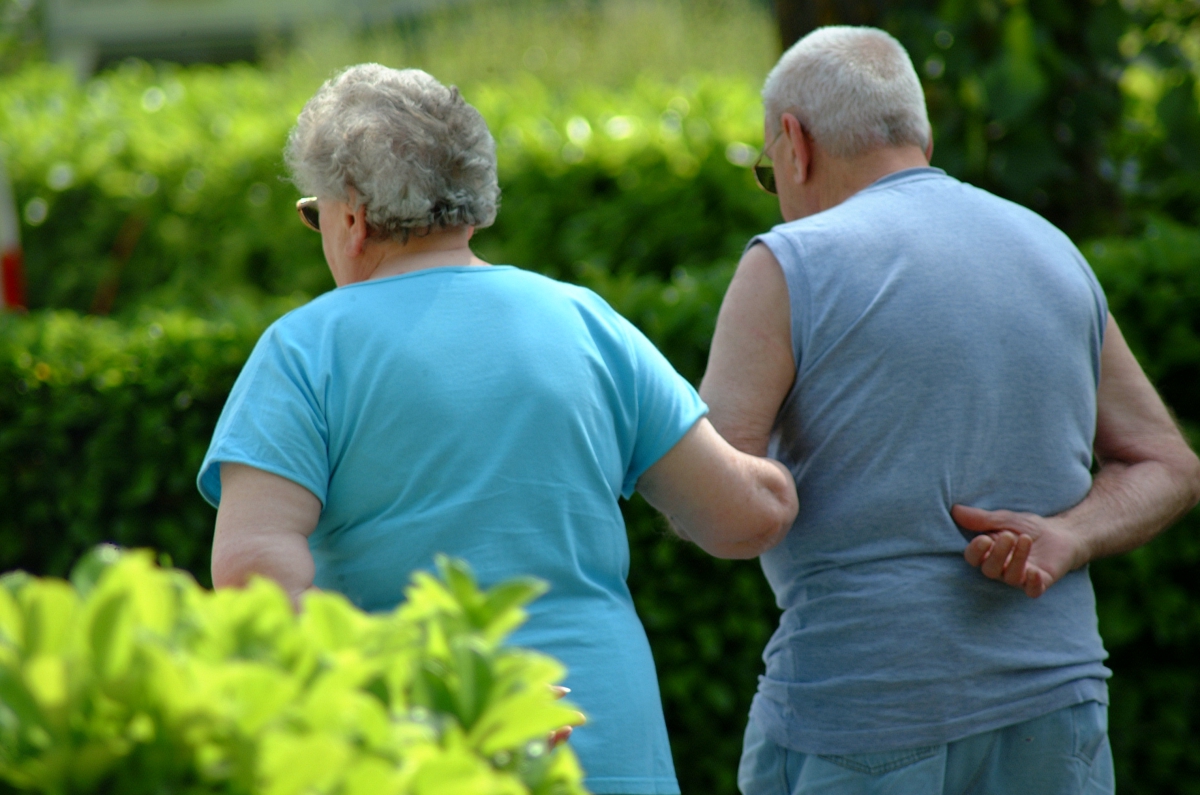 Canoë Gorges du Tarn Midi-Pyrénées - Rivière-sur-Tarn visuel 7/11