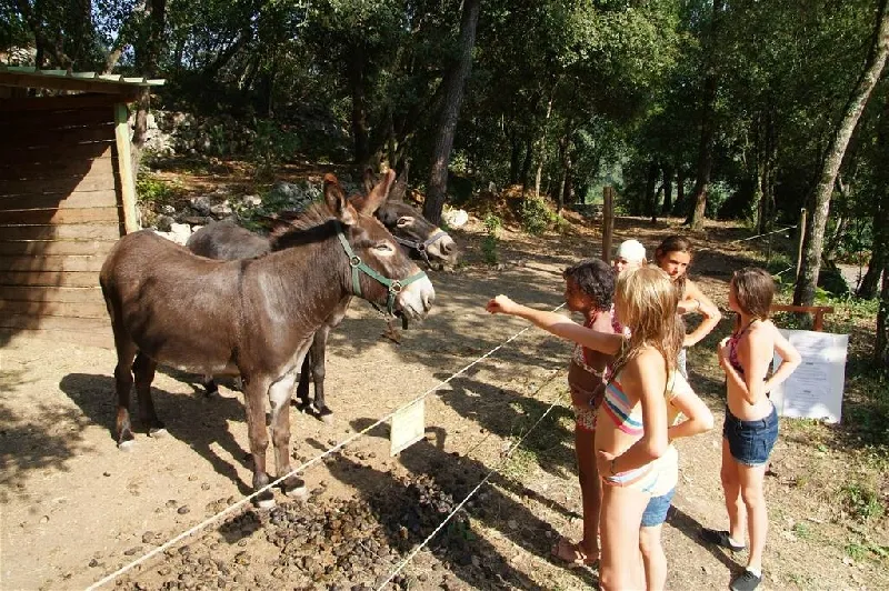 Camping Les Pinèdes Provence-Alpes-Côte d'Azur - La Colle-sur-Loup visuel 11/11